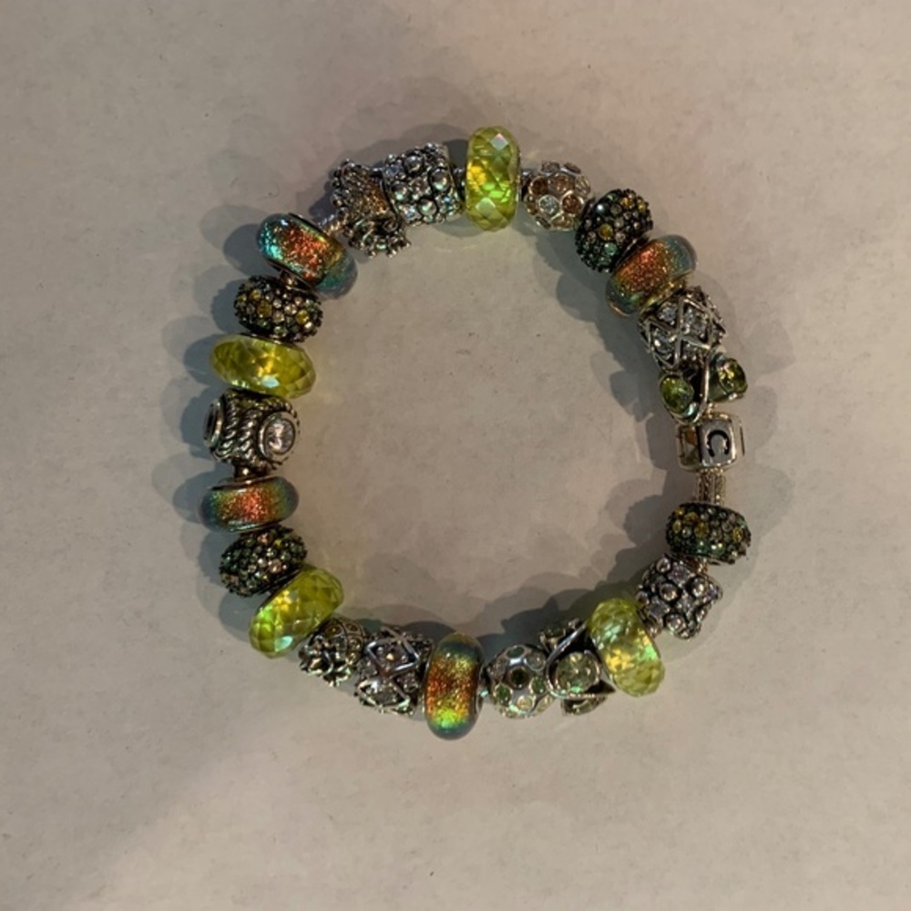 Chamilia 8 inch Silver Charm Bracelet with 23 charms